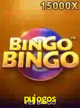 bingobingo